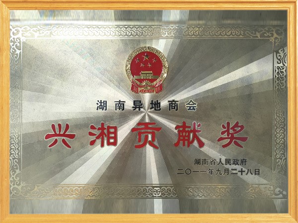 2011年兴湘贡献奖