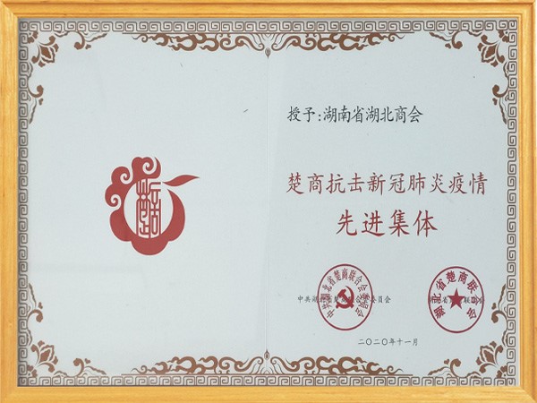 2020年楚商抗疫先进集体